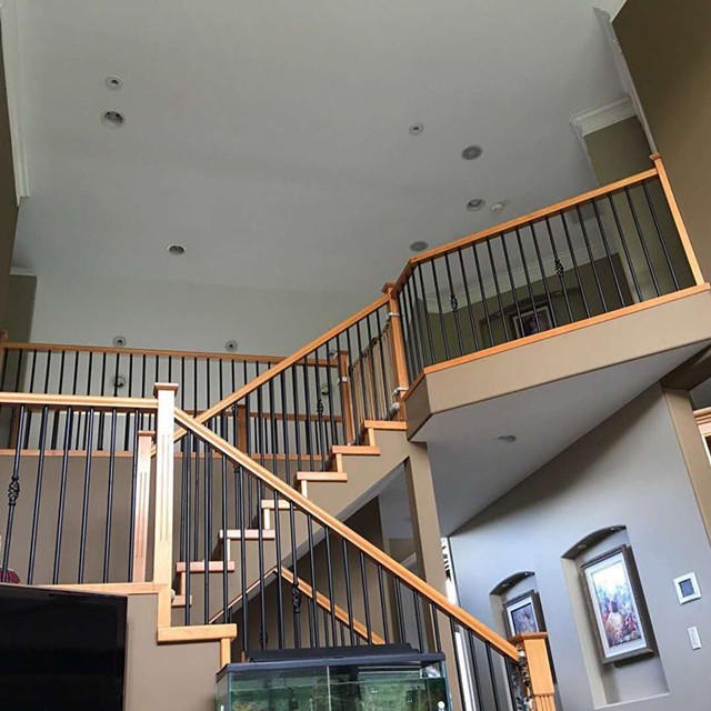 壕！张柏芝晒加拿大独栋豪宅 却曝光了独特爱好（2）