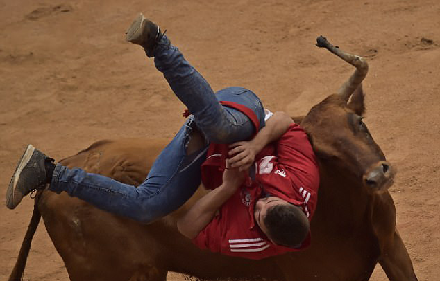 西班牙奔牛节第三日 6人被公牛刺伤现场惨烈(