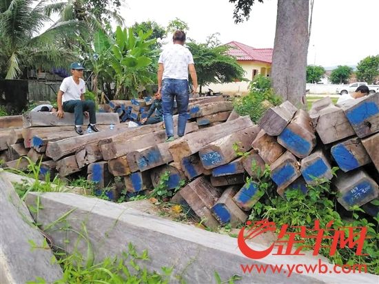 面对老挝“红木禁运令” 中国木材商人转身求变