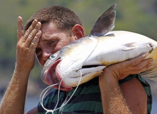 密歇根州悬赏70万美元解决亚洲鲤鱼 外来物种入侵能否靠吃解决？