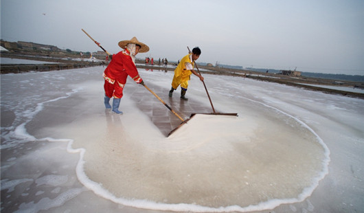 福建泉州：百年盐场的繁忙伏收季