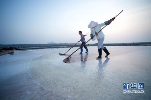 福建泉州：百年盐场的繁忙伏收季