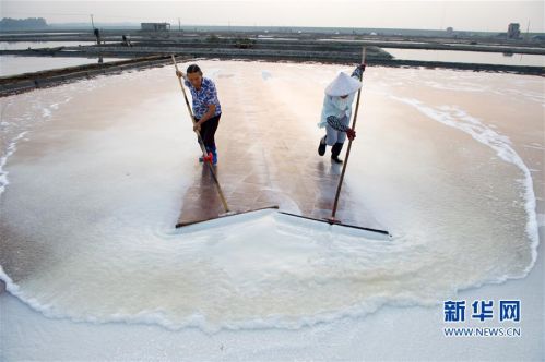 福建泉州：百年盐场的繁忙伏收季