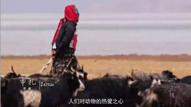 央视《第三极》来头不小 中国首部4K超高清记录大片 豆瓣9.2（3）