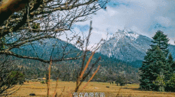 央视《第三极》来头不小 中国首部4K超高清记录大片 豆瓣9.2（2）