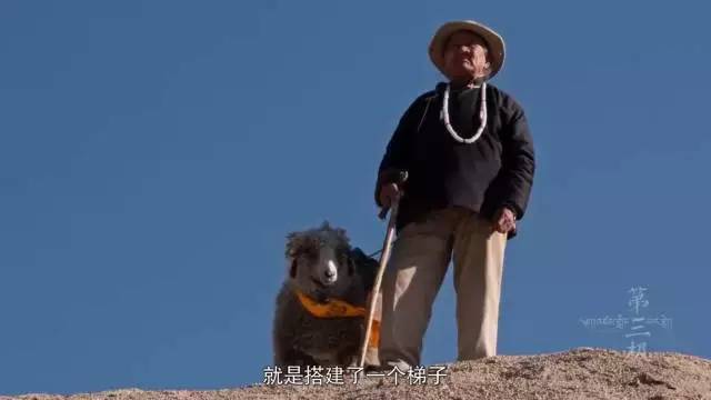 央视《第三极》来头不小 中国首部4K超高清记录大片 豆瓣9.2（6）