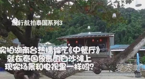 中餐厅在泰国的餐厅和电视里一样吗？中餐厅现在还营业吗？