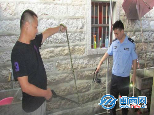 狗洞钻进长蛇 屋主“锁门”紧急报警