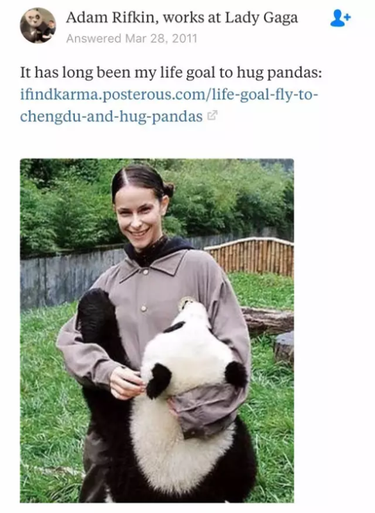外国人喜欢胖达的神奇理由:熊猫喜欢卖萌，是种族平等的象征（2）