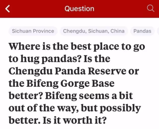 外国人喜欢胖达的神奇理由:熊猫喜欢卖萌，是种族平等的象征（2）