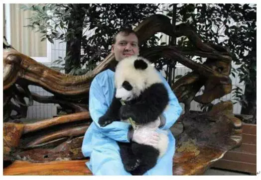 外国人喜欢胖达的神奇理由:熊猫喜欢卖萌，是种族平等的象征（3）