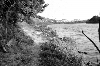 村民收集二十多张旧船票 讲述南安丰州古渡往事