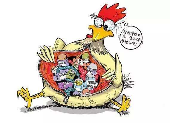 麦当劳将全球停用抗生素鸡中国不是第一批？抗生素鸡有危害吗？