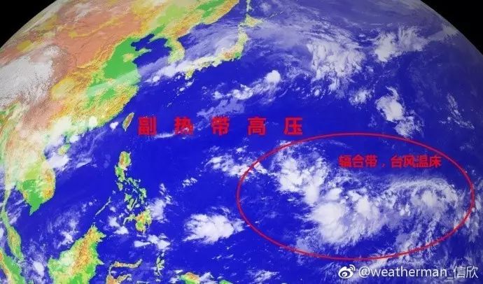 17号台风“古超”越来越弱了 下周末可能又有台风了！
