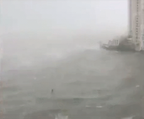 飓风厄玛袭击美国佛罗里达：富人包机撤 穷人桥下躲