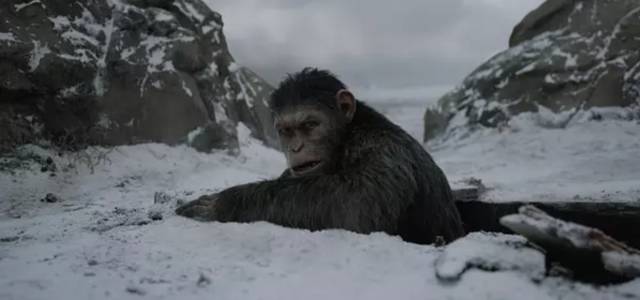 《猩球崛起3》竟能把特效大片拍出史诗感：媒体和影评人盛赞（2）