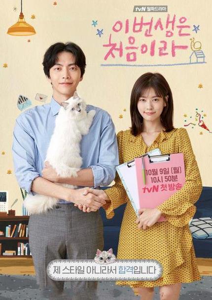 最新韩剧《今生是第一次》里男主的猫是什么品种？多少钱一只