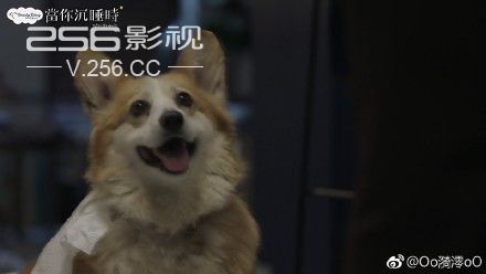 1508568303626.jpg