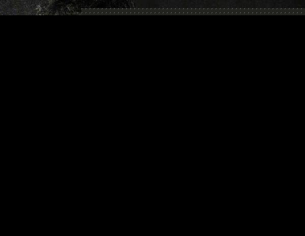 1509778084662.jpeg