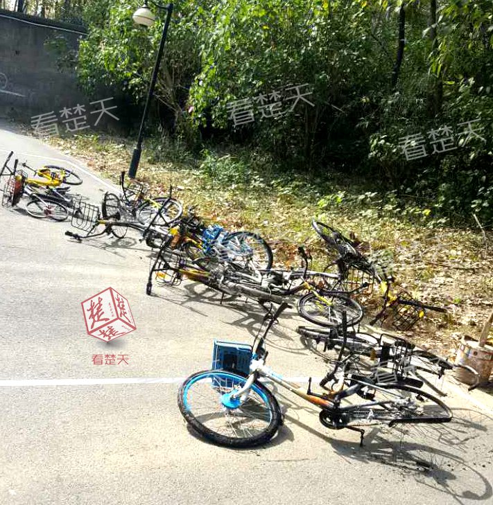 武汉10余辆共享单车被烧，单车方面表示将报警(图)