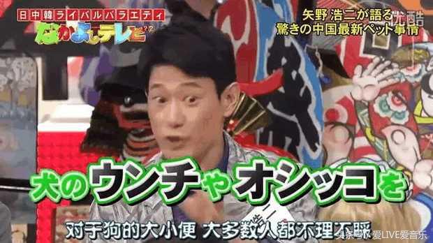 矢野浩二上日本节目，吐槽中国人不配养狗，网友：他说的都是事实