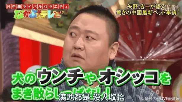矢野浩二上日本节目，吐槽中国人不配养狗，网友：他说的都是事实