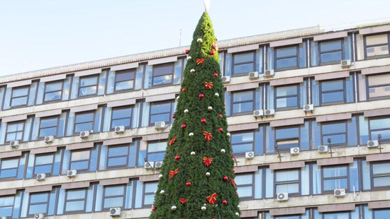 塞尔维亚“世界上最昂贵圣诞树”惹争议 造价8.3万欧元
