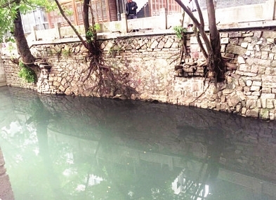 福州朱紫坊附近两隐蔽排污口 污染安泰河