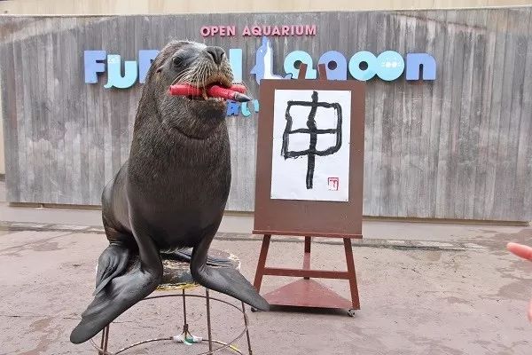 日本海狮咬笔书写汉字“戌” 庆祝农历狗年到来（2）