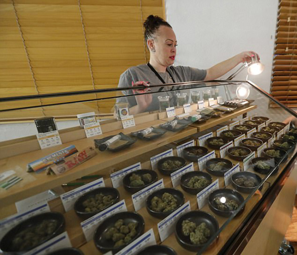新年新政策！娱乐性大麻首次在美国加州合法出售