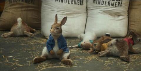 真人cg电影比得兔什么时候上映剧情介绍 比得兔好看吗