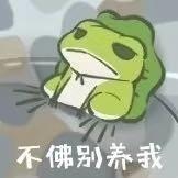 《旅行青蛙》攻略技巧 旅行青蛙串门的小动物蜗牛蜜蜂乌龟吃什么