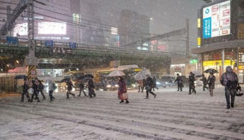日本东京迎来大雪天气致交通拥堵 雪花纷飞寒