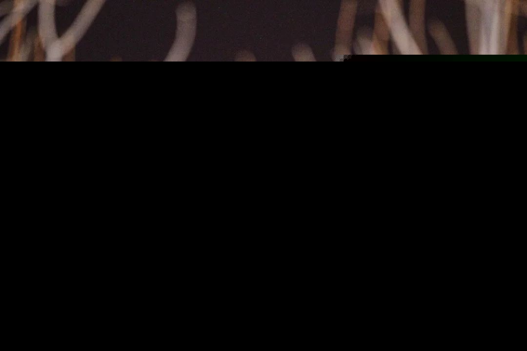 美哭！152年来首次“超级蓝血月全食”！高清大图来了！（2）