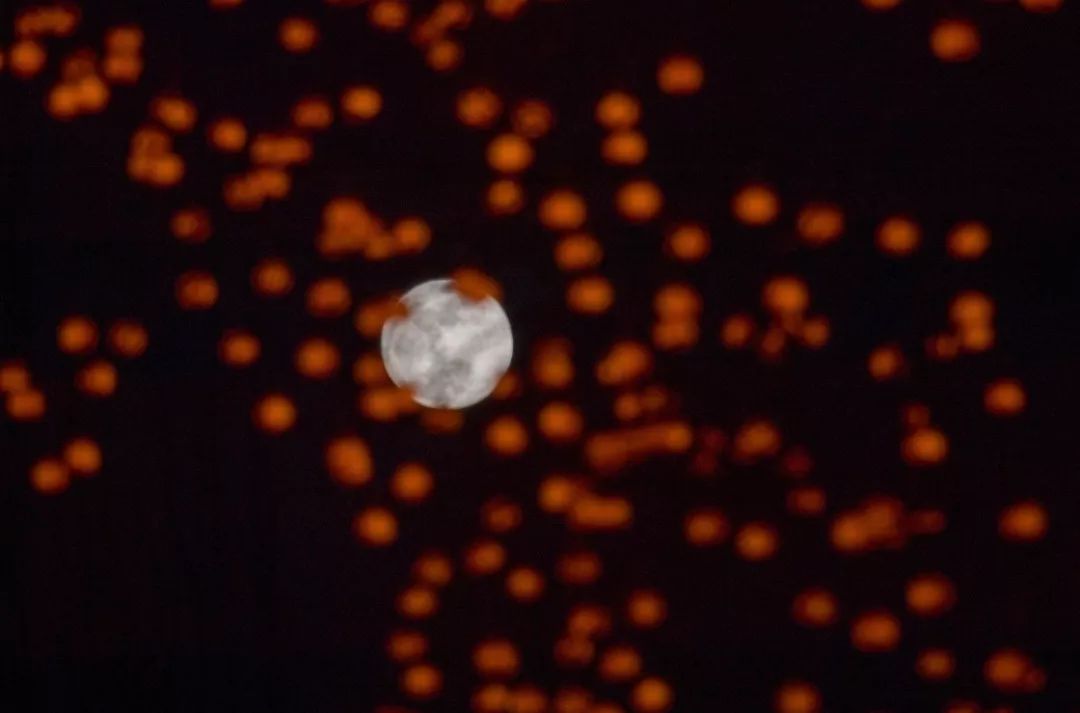 美哭！152年来首次“超级蓝血月全食”！高清大图来了！（2）