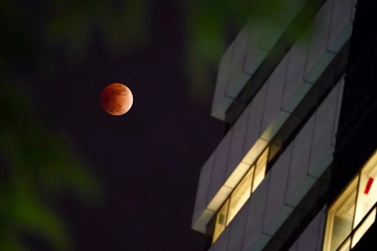 美哭！152年来首次“超级蓝血月全食”！高清大图来了！