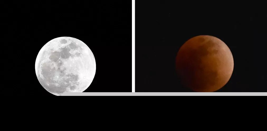 美哭！152年来首次“超级蓝血月全食”！高清大图来了！
