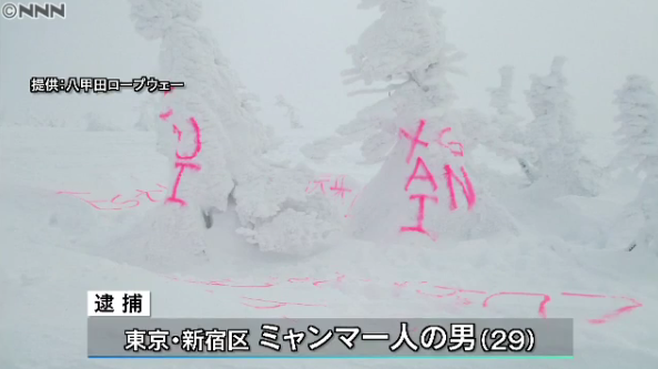 日本“树冰”景区被喷漆涂鸦真相大白 中国人曾无辜被骂