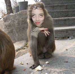抖音猴姐叫什么名字 抖音猴姐表情包下载个人资料微博照片