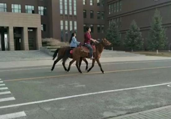 内蒙古大学情侣校园骑马 网友：＂骑马上学＂被坐实