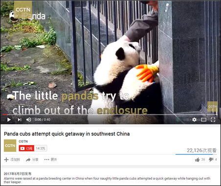 点开CGTN的YouTube首页，你就可以发现，这货不愧是央视旗下的，和CCTV的Facebook一个德行，见天儿的靠着滚滚吸粉，还专门弄了一个熊猫频道。
