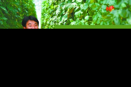 厦门扶持新型农业经营主体 大学毕业生办农企奖励10万