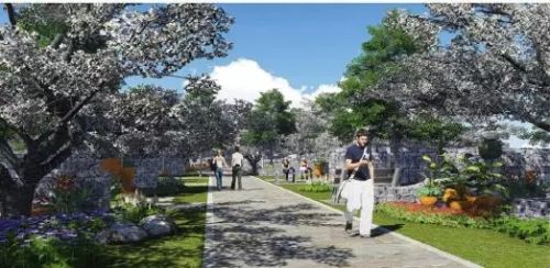 福州将再添一个花海公园！就在永泰大樟溪自行车道