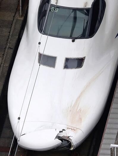 日本新干线发生撞人事故 司机听到异响却未上报