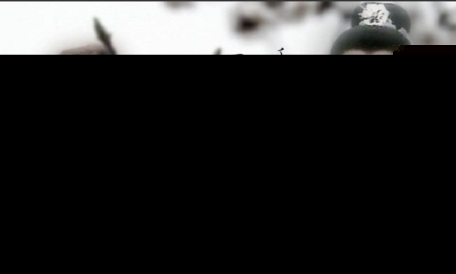 黄元申版霍元甲为何无人超越？黄元申用亲身经历告诉你霍元甲的由来