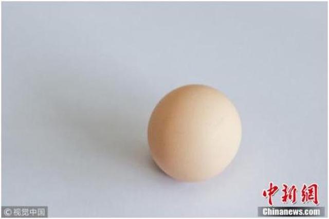 鸡蛋价格触底上涨 西红柿炒蛋以后要少放个蛋了