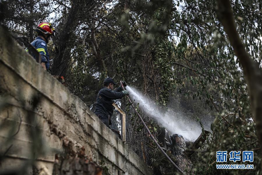 希腊全国哀悼3天原因始末揭晓 森林火灾遇难人数升至74人