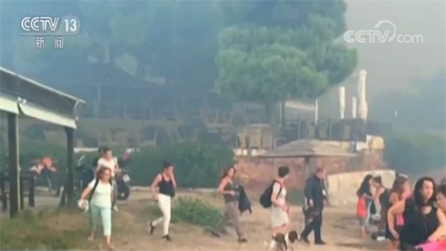 雅典火灾遇难升至81人 幸存者：大风卷着火焰天空是黑的！