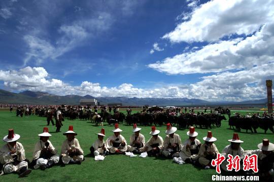 西藏当雄赛马节是什么节日？西藏赛马节开幕牧民狂欢有哪些活动