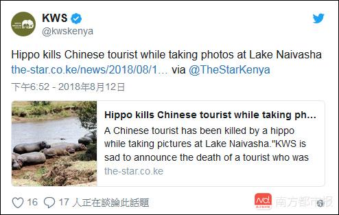 肯尼亚河马被击毙是怎么回事 两名台湾游客遭河马袭击事件始末